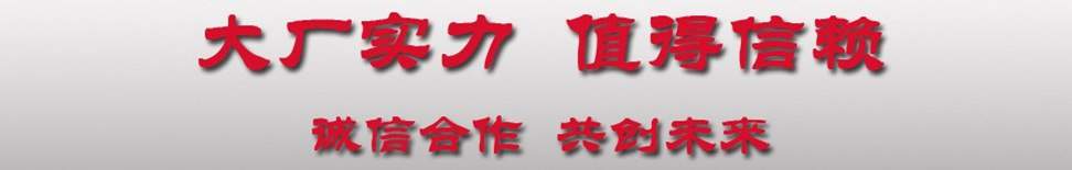 程力大廠實力