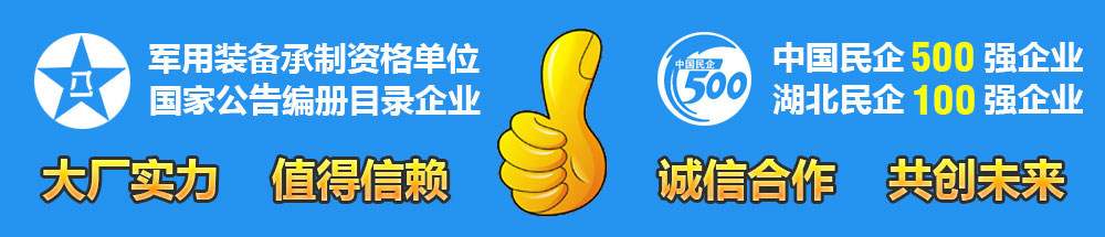 湖北程力民企100強企業(yè)